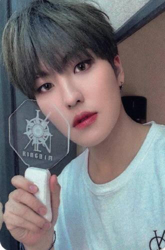 Photocard of Louis holding the History of Kingdom 7 lightstick by his face