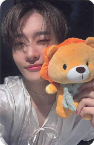 A photocard of Yoojung holding a lion plushie