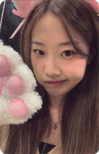 Photocard of Yousom wearing a cat ear and paws
