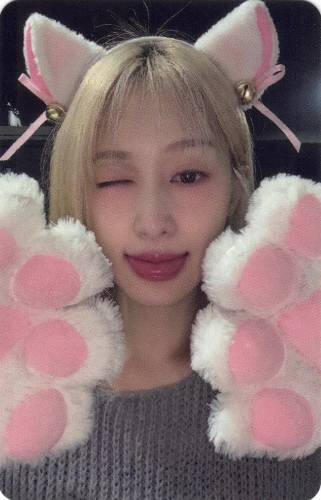 A photocard of Chaei with cat ears and paws