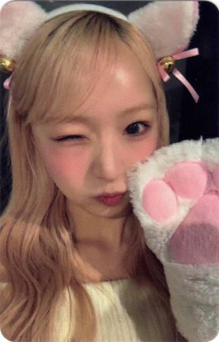 A photocard of Yume wearing cat ears and paws