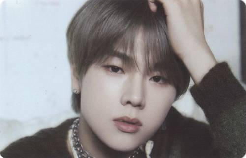 Horizontal photocard of Jungsu resting his face on his hand and gazing into the camera
