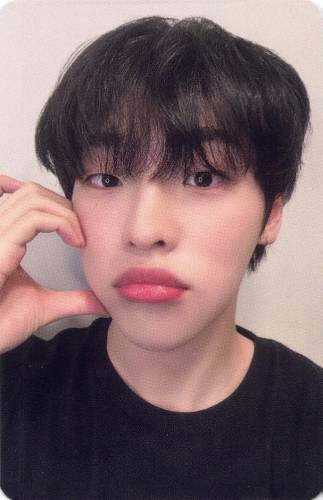 Photocard of Mujin wearing a black t-shirt making a half-heart with an animal ear with his hand against his cheek