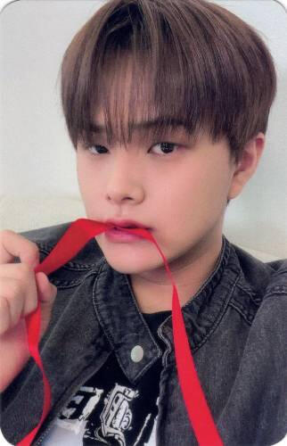 Photocard of Jahan with a red ribbon in his mouth