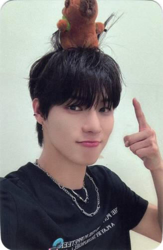 Photocard of Yonghoon with a capybara plushie on his head holding his hair