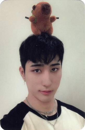 Photocard of Harin with a capybara plushie on his head