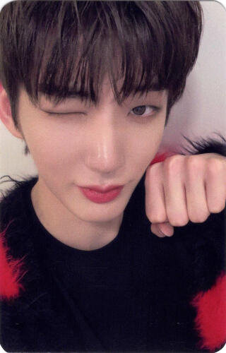 A photocard of Hwon wearing a red and black fluffy sweater, making a paw hand, and winking