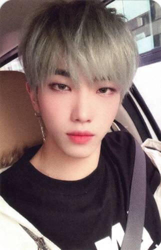 Photocard of Dann staring into the camera
