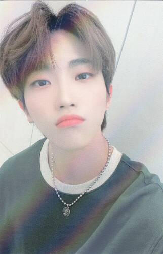 Photocard of Dann pouting