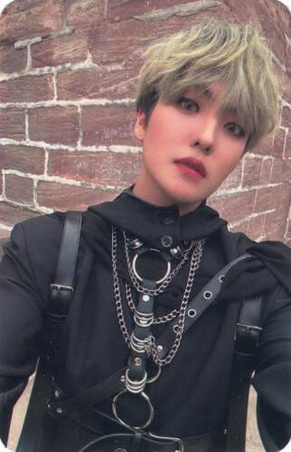 Photocard of Louis wearing a black chained outfit