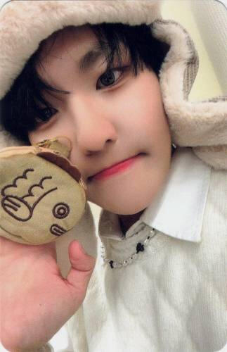Photocard of Louis holding a plush taiyaki to his face