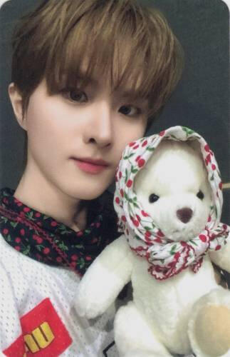 Photocard of Ivan wearing a scarf and holding a teddy bear