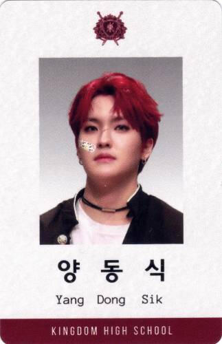 A fake ID for red haired Louis