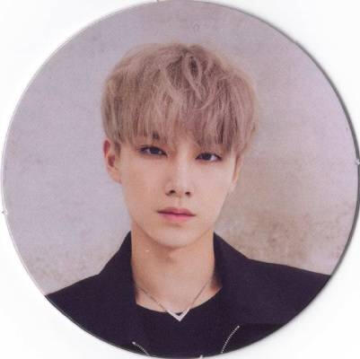 Xiaojun from WayV circle piece