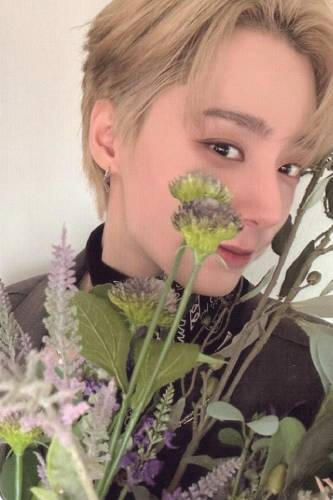 Photocard of Hwanwoong holding green and purple flowers in front of his face