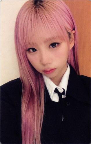 Photocard of Dosie looking at the camera